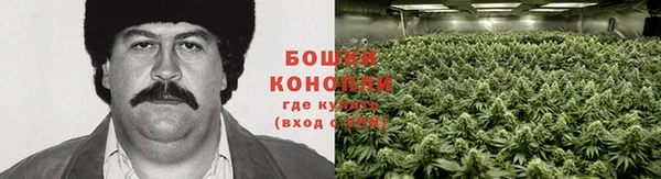 соль ск Инсар