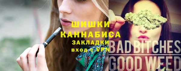 меф Инта
