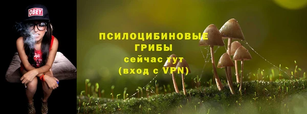 меф Инта