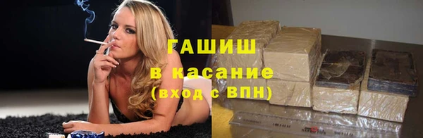 соль ск Инсар