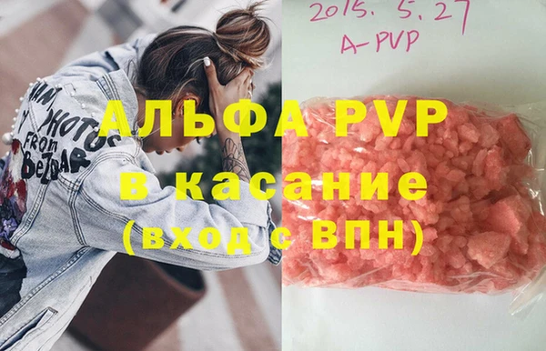 соль ск Инсар