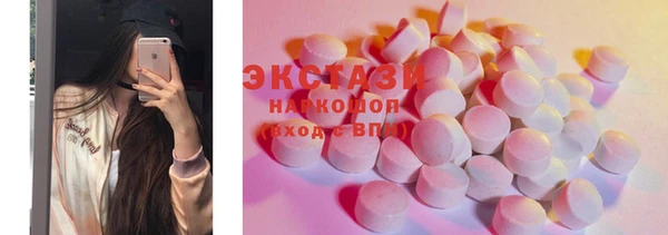 соль ск Инсар