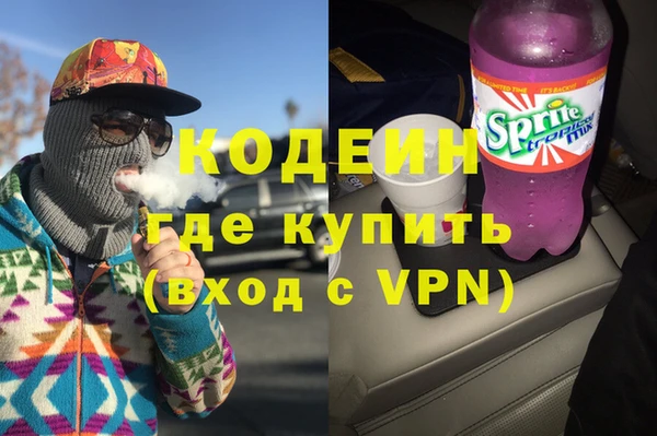 соль ск Инсар