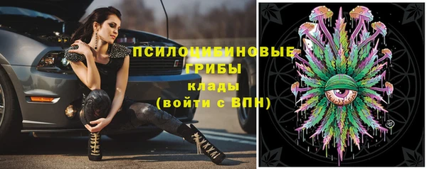 соль ск Инсар