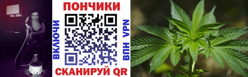Купить закладки  Дрезна  Марихуана сатива 